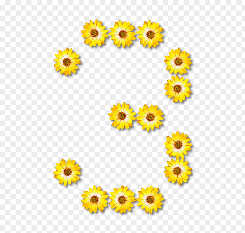 Alphabet Letter Common Sunflower Clip Art PNG