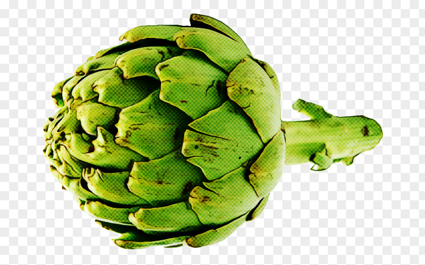 Artichoke Food Plant Cynara Vegetable PNG