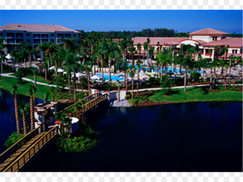 Beach Resort International Drive Universal Orlando Sheraton Vistana Villages Villas, I-Drive/Orlando Walt Disney World PNG