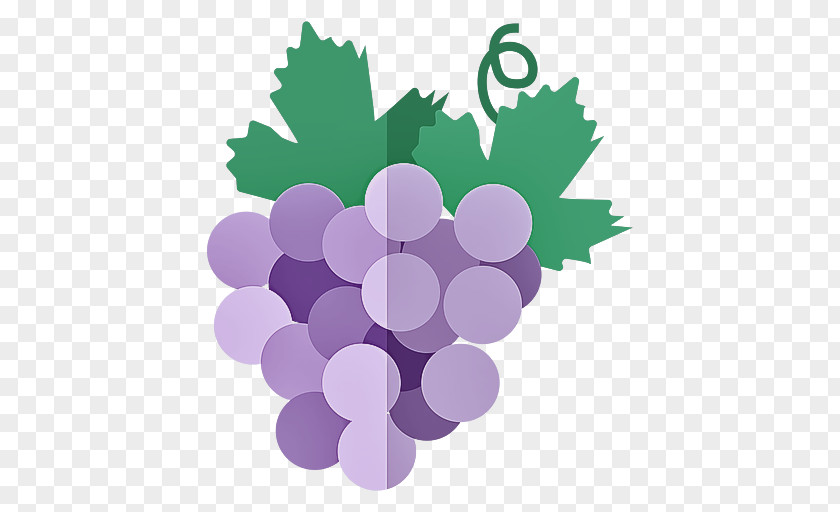 Grape Grapevine Family Purple Vitis Violet PNG