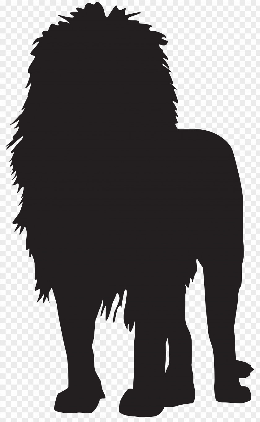 Lion Silhouette Transparent Clip Art Image PNG