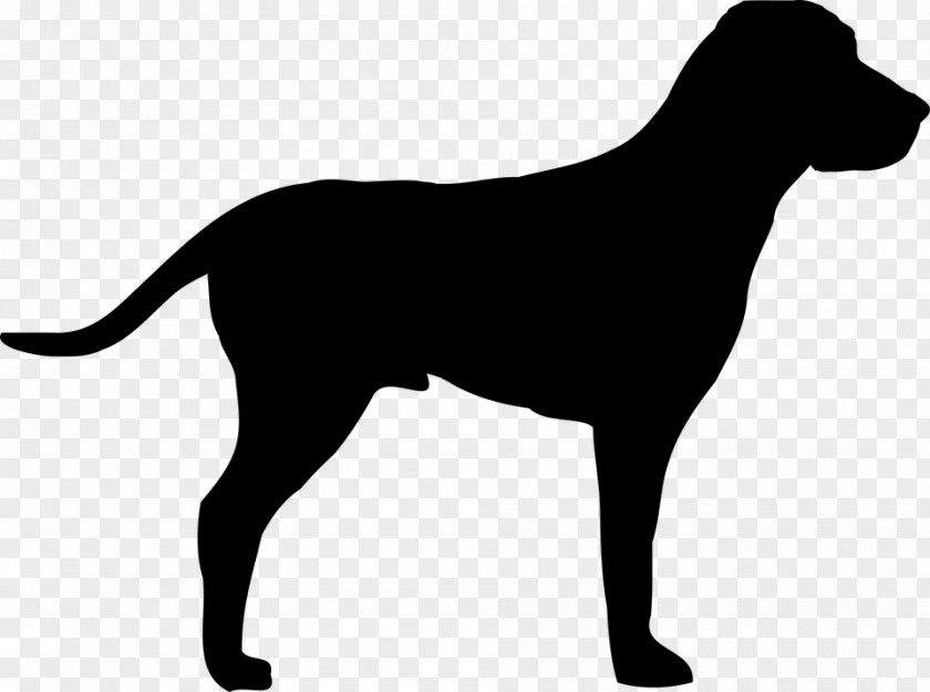 Puppy Pointer Labrador Retriever Weimaraner Clip Art PNG