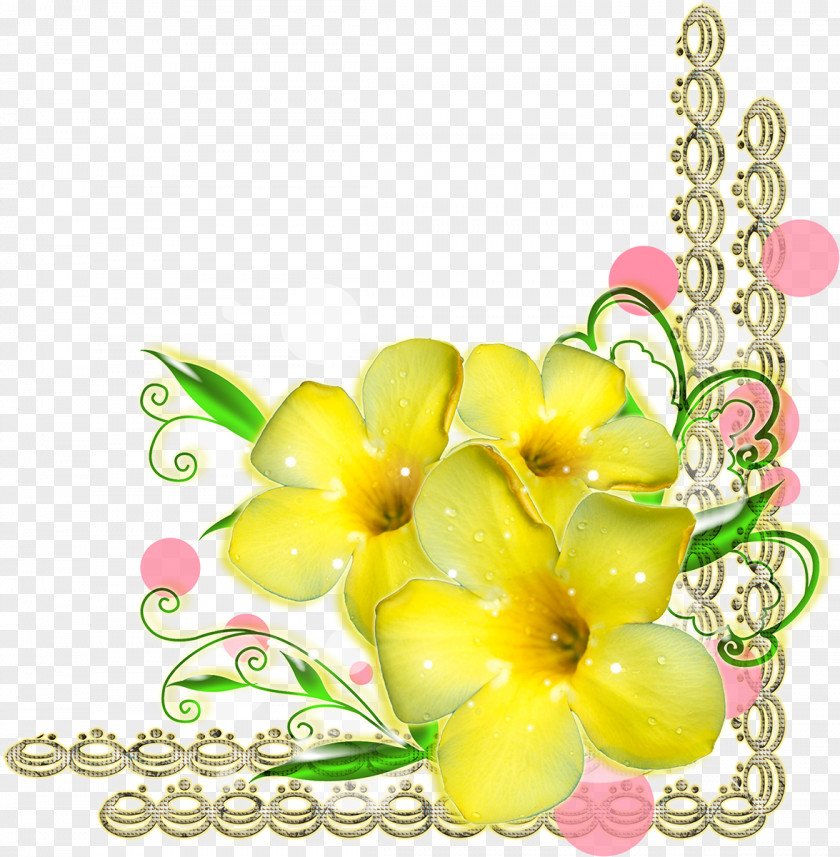 Yellow Frame PNG