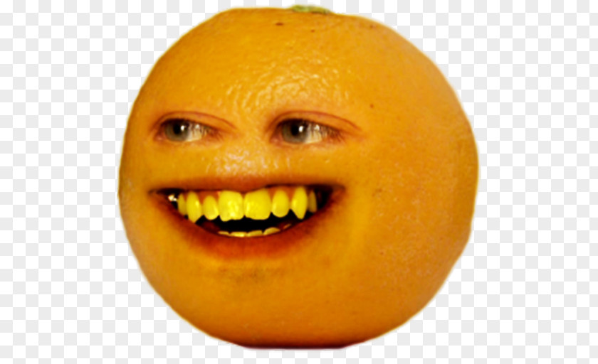 Annoying Orange: Kitchen Carnage Polandball Know Your Meme Internet PNG meme, others clipart PNG