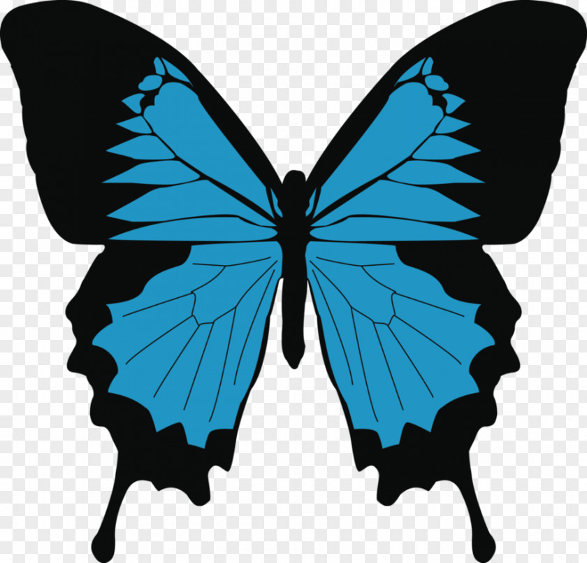 Blue Butterfly Monarch Papilio Ulysses Swallowtail Drawing PNG