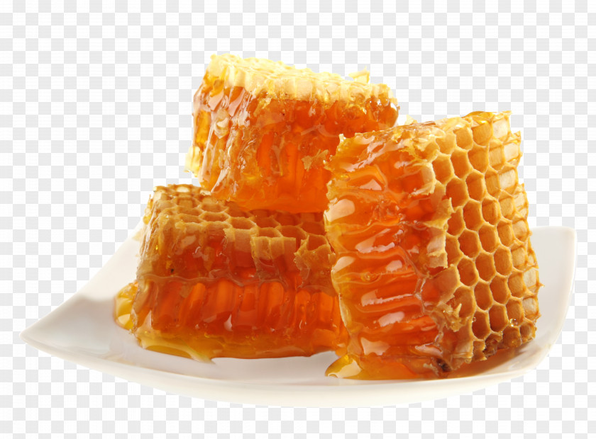 HD Dish Honeycomb Honey Bee Maya PNG