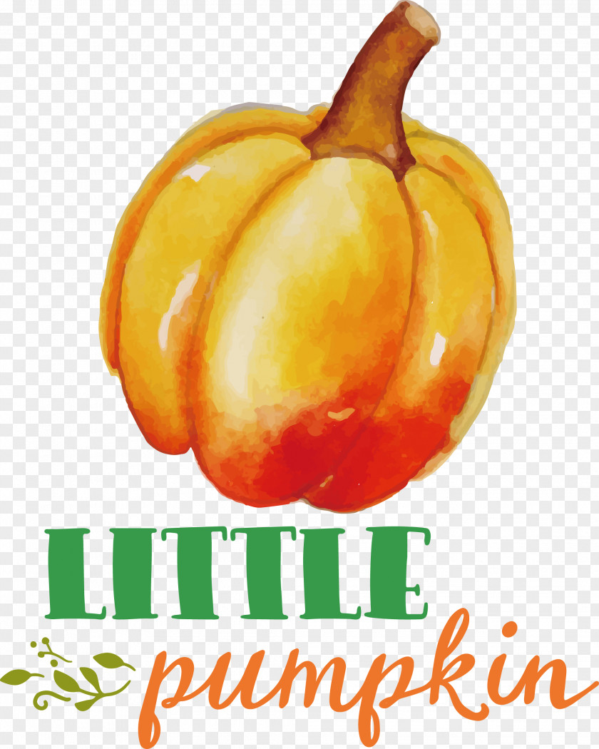 Little Pumpkin Thanksgiving Autumn PNG