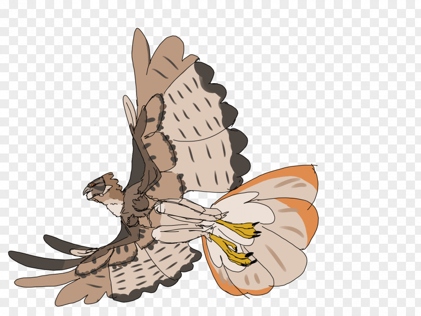 Owl Wing Insect Cartoon PNG