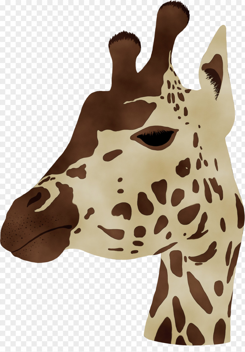 Toy Fawn Animal Cartoon PNG