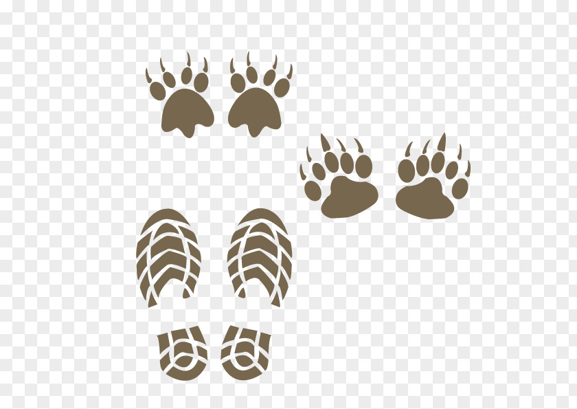 Vector Animal Human Footprints Download Footprint PNG