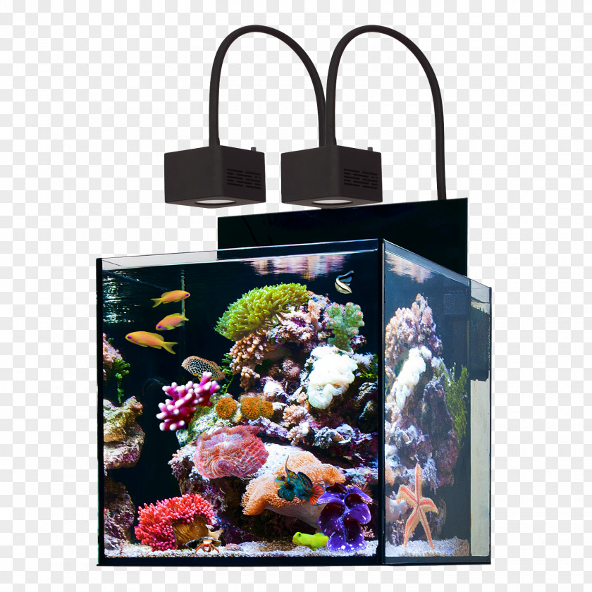 Water Reef Aquarium Protein Skimmer Sump PNG