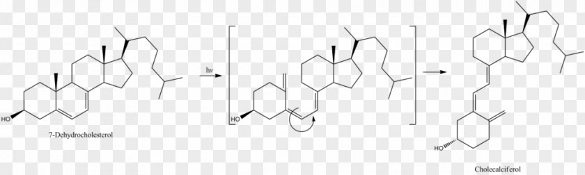 Angle Pregnenolone PNG