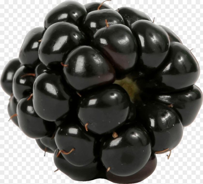 Blackberry Food Fruit Breakfast PNG