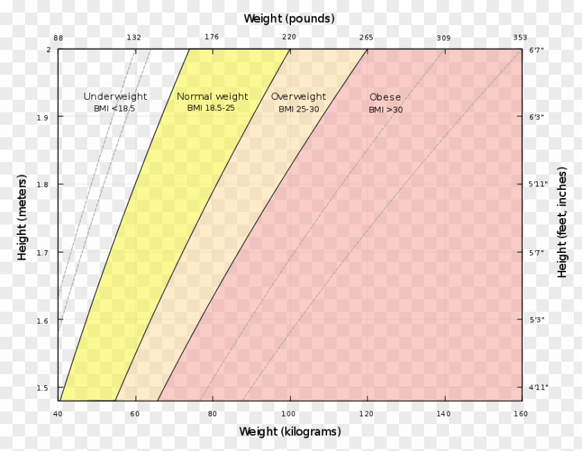 Body Mass Index Human Weight Loss Adipose Tissue PNG