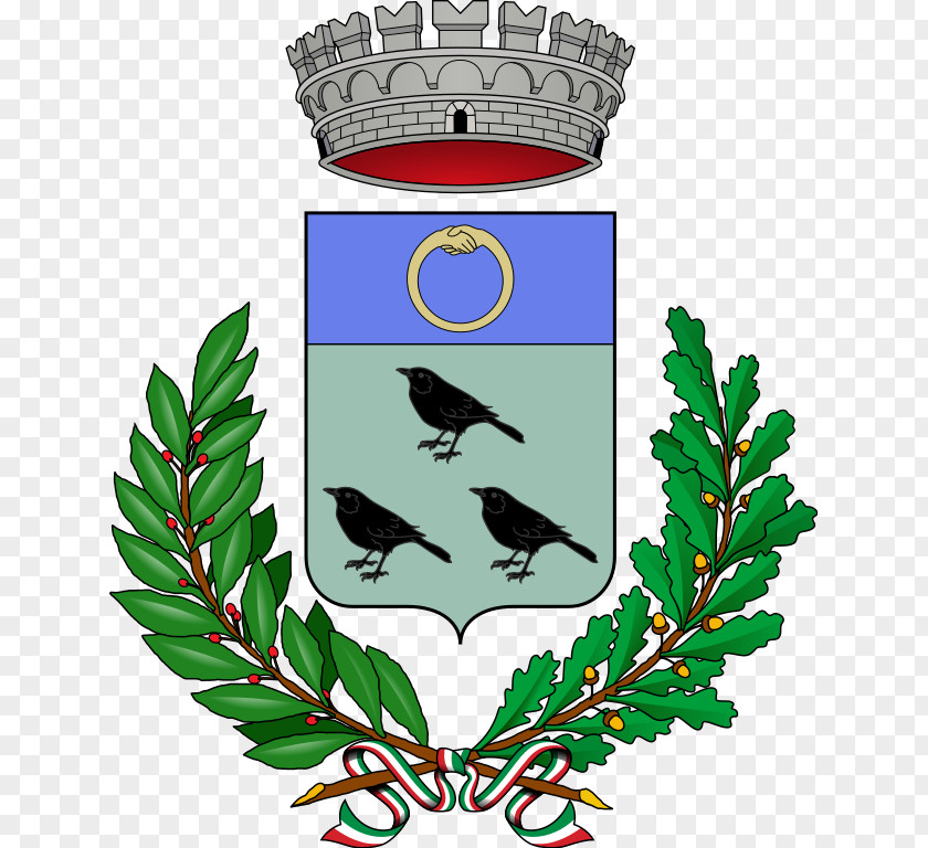 Castell Albano Laziale Cossano Canavese Fiumicino Tigliole Coat Of Arms PNG