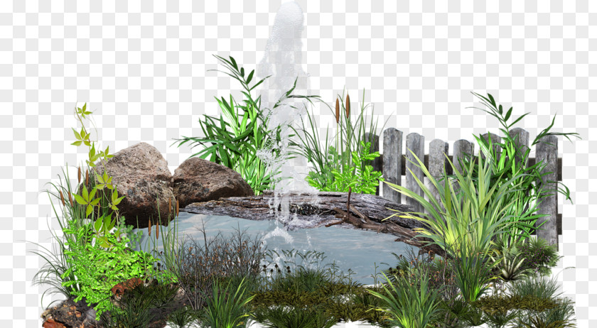 Pond Lawn Clip Art PNG
