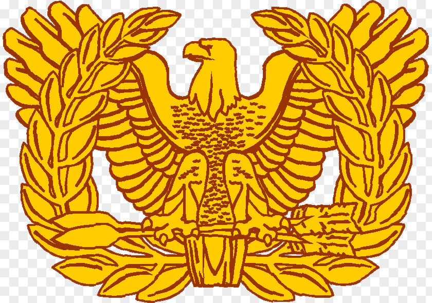 Rising Warrant Officer Army Military Rank United States PNG