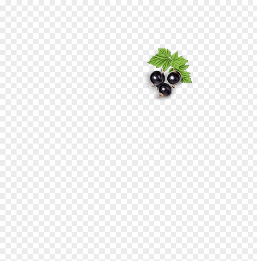 Berry Plant Fruit Cartoon PNG