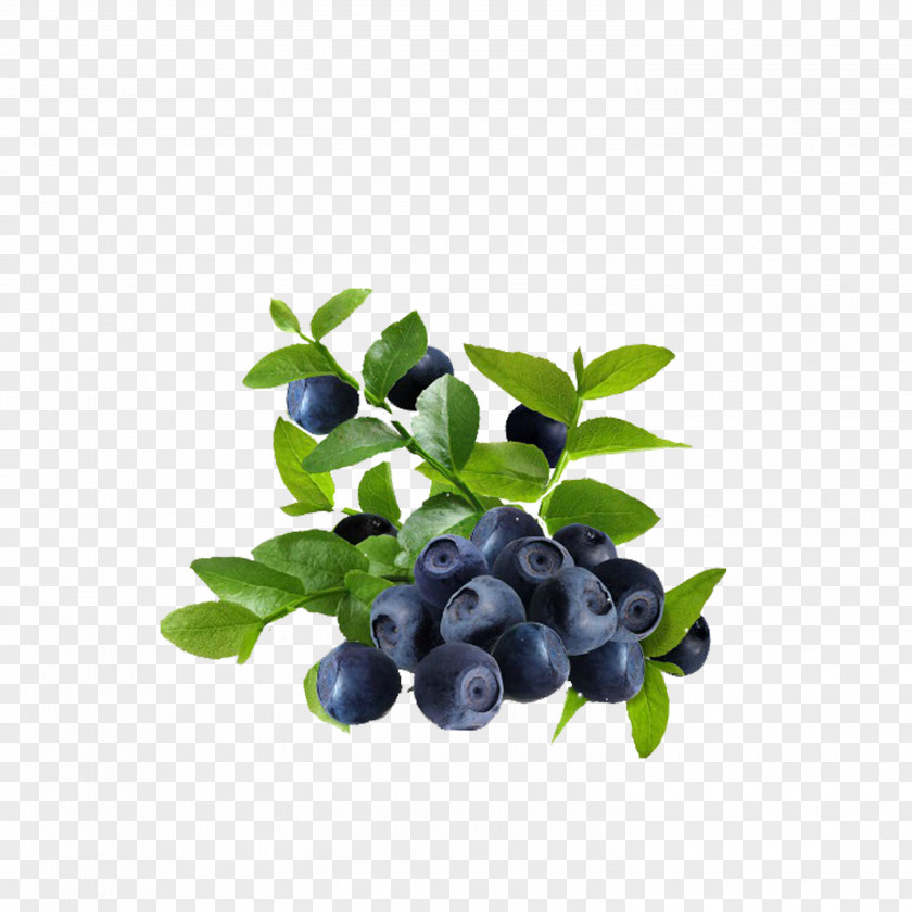 Blueberry Juice Frutti Di Bosco Bilberry Leaf PNG