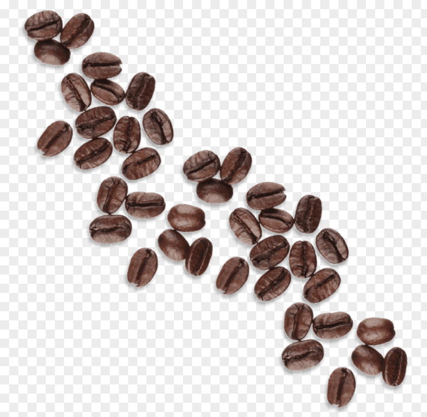Coffee Beans Alphabet Web Hosting Service Yahoo! Mail Internet Email PNG