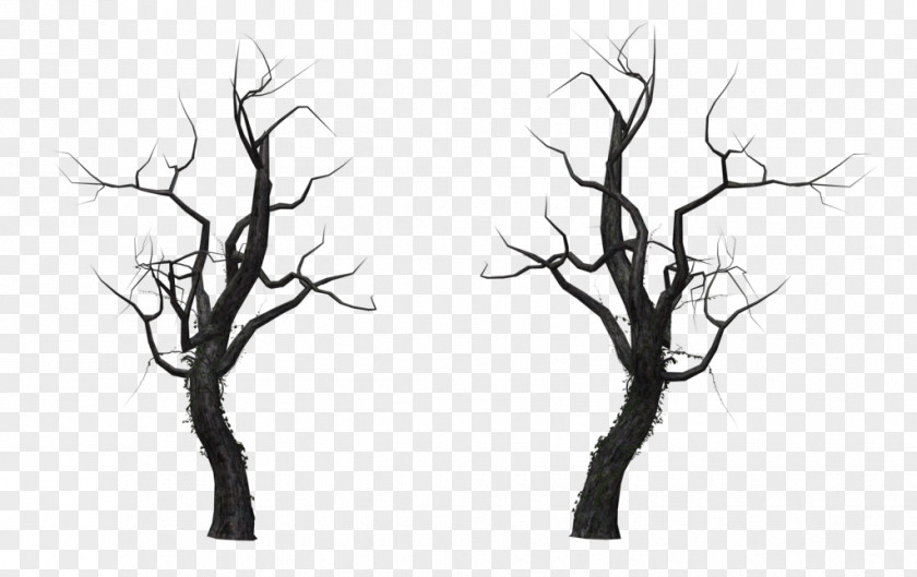 Dead Tree Branch Snag PNG