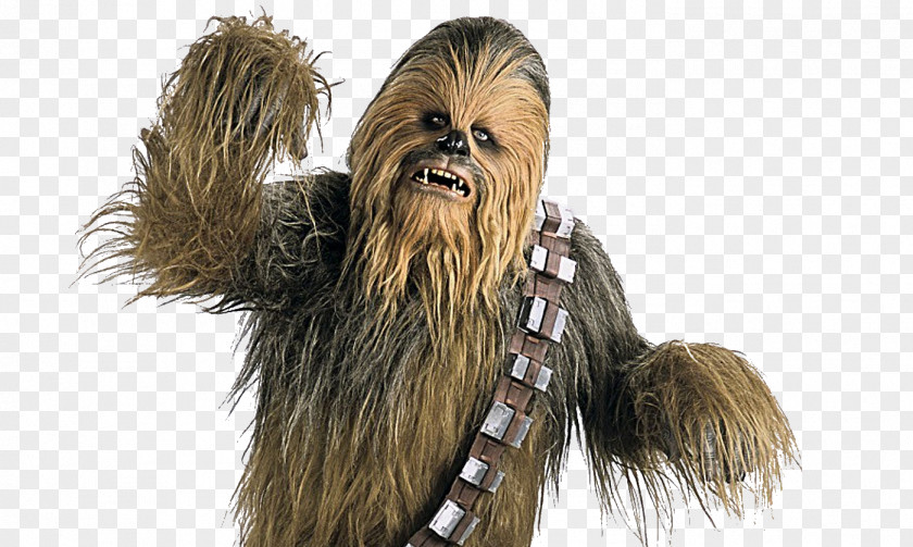 Chewbacca Leia Organa Star Wars Day PNG