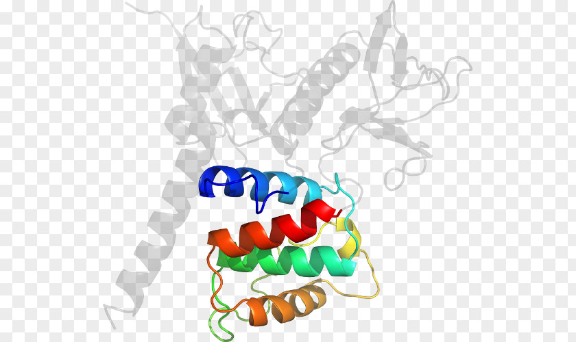 Ferm Domain Clip Art Product Organism Line PNG