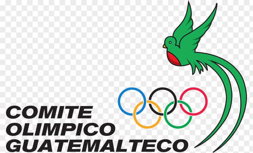 Summer Olympic Games Guatemalan Committee Guatemala City National PNG