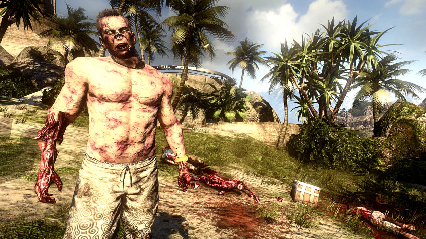 Dead Island Plant Tree Arecales PNG