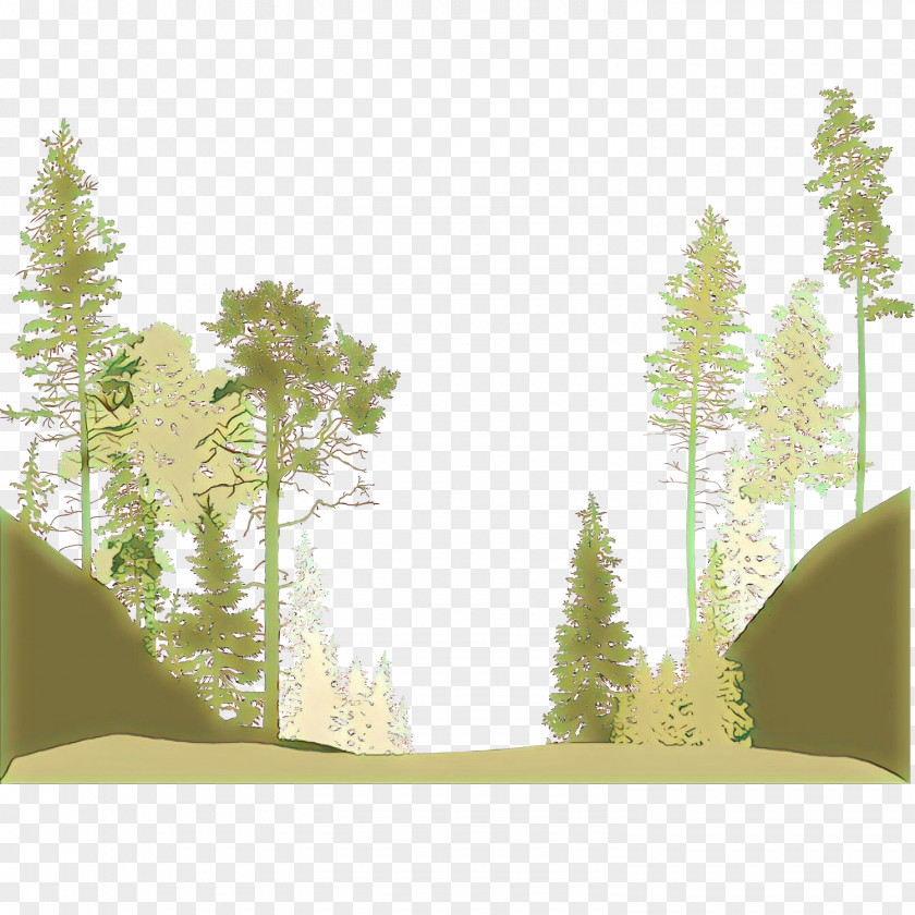 Landscape Plant Tree Nature Green Natural Environment Forest PNG