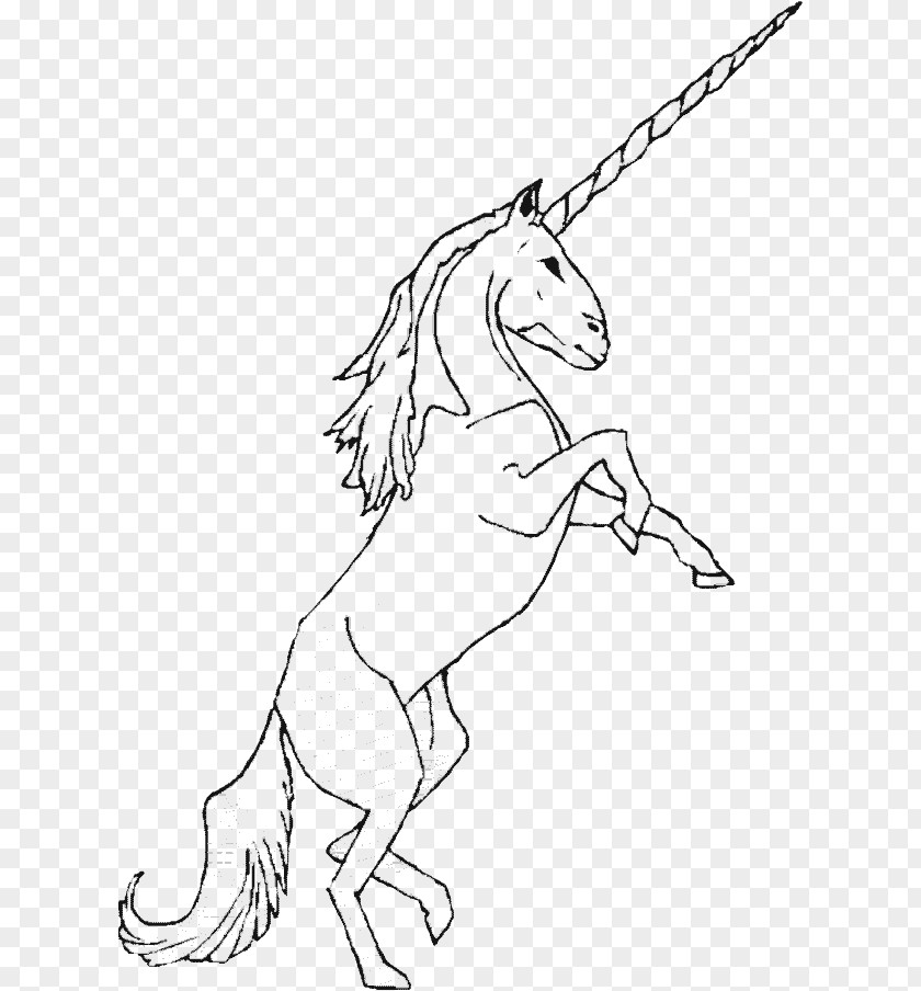 Unicorn Drawing Coloring Book Pegasus Legendary Creature PNG