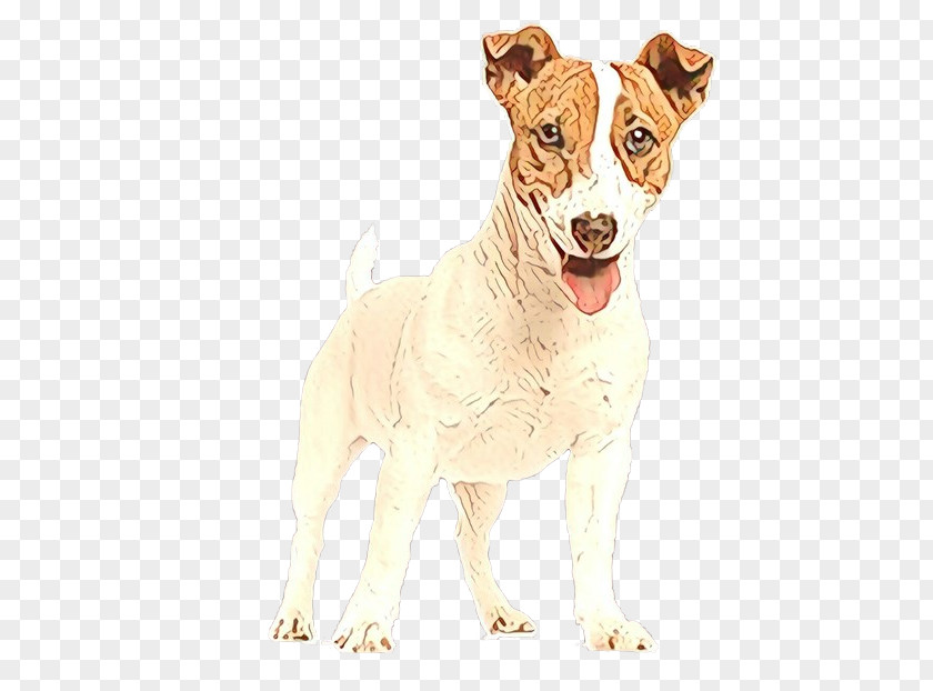 Chilean Fox Terrier Drawing PNG