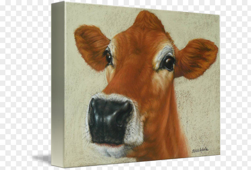 Cow Watercolor Dairy Cattle Calf Painting PNG