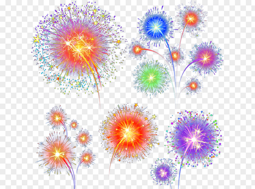 Fireworks Chrysanthemum Floral Design Wallpaper PNG