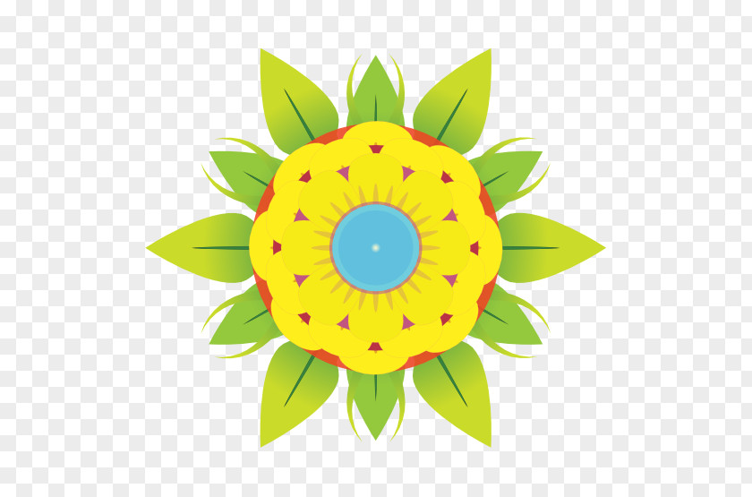 Floral Design Daisy Family Fruit PNG
