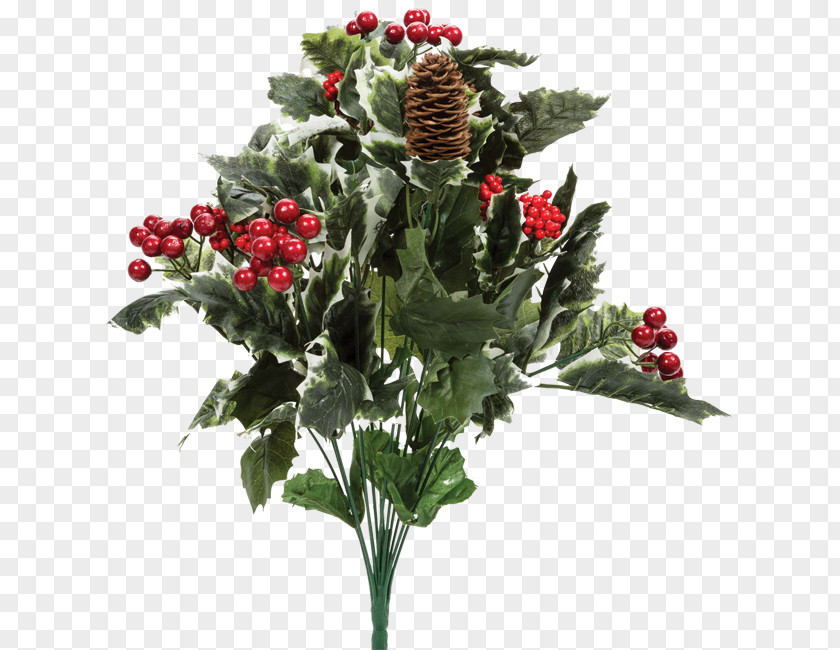 Holly Berries Berry Shrub American Common Tree PNG