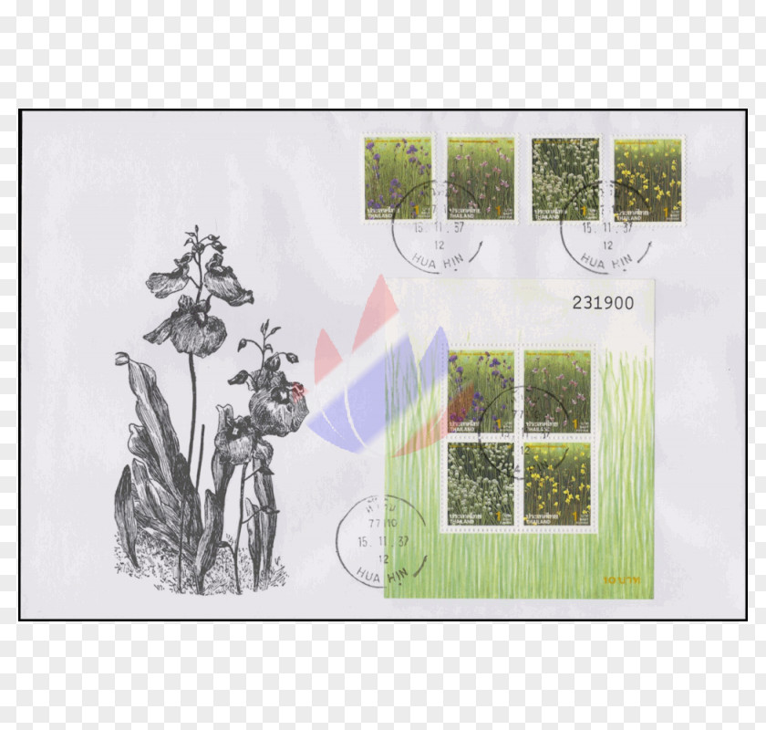 Tree Picture Frames Rectangle PNG