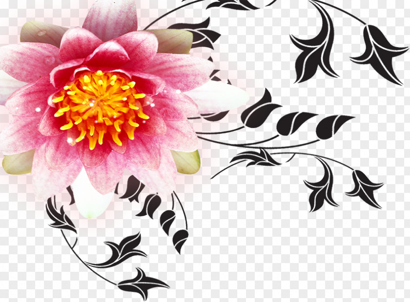 Peony Poster Red Flower PNG