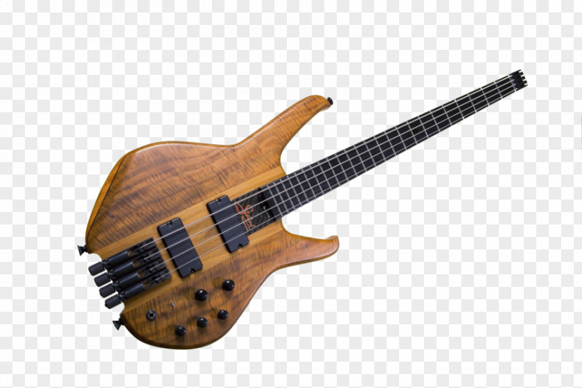 Bass Musical Instruments String Guitar Electric PNG