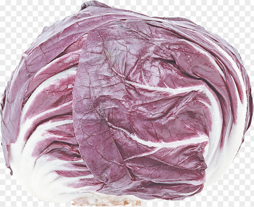 Cabbage Red Vegetable Wild Purple PNG
