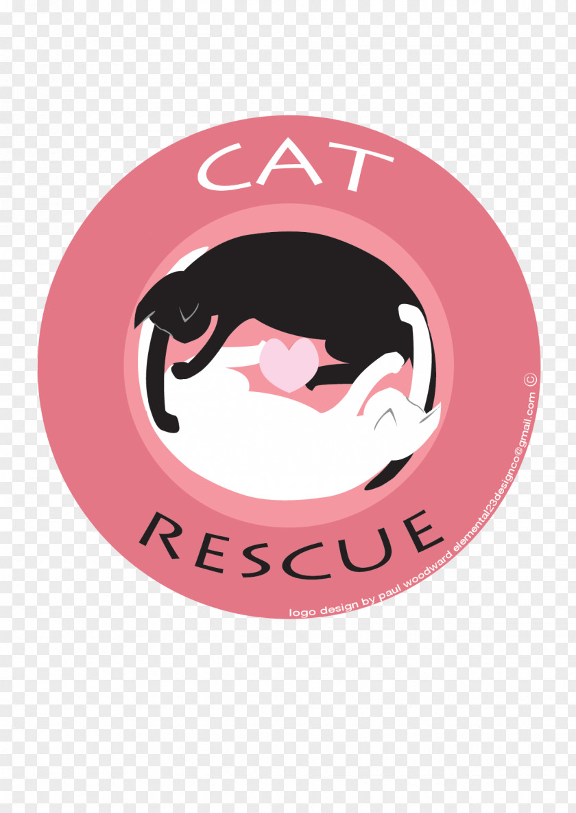 Catwork Alley Cat Rescue Kitten Animal Group PNG