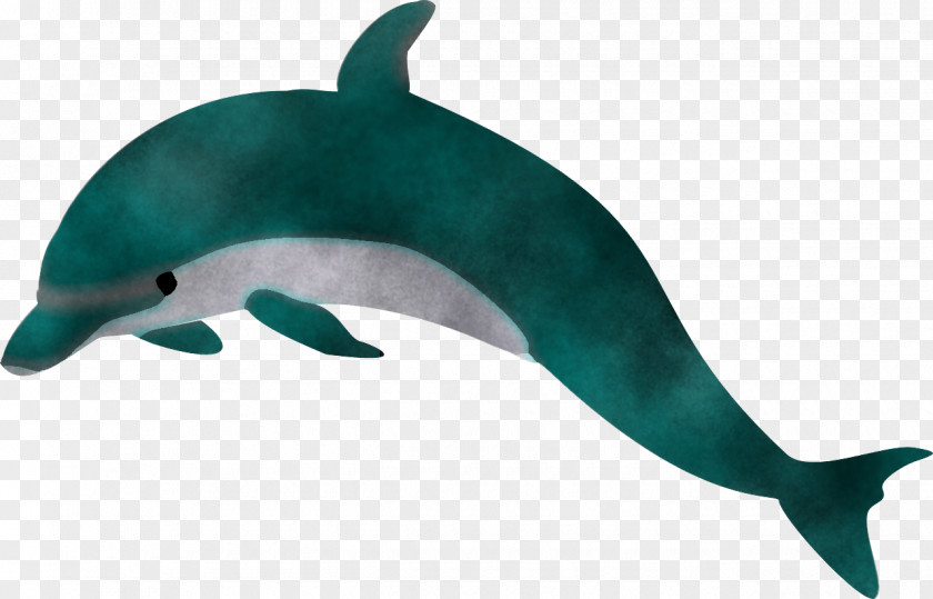 Dolphin Bottlenose Cetacea Animal Figure Common Dolphins PNG