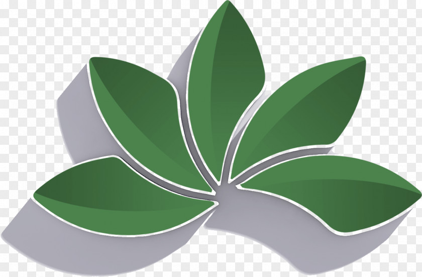 Leaf Symbol PNG