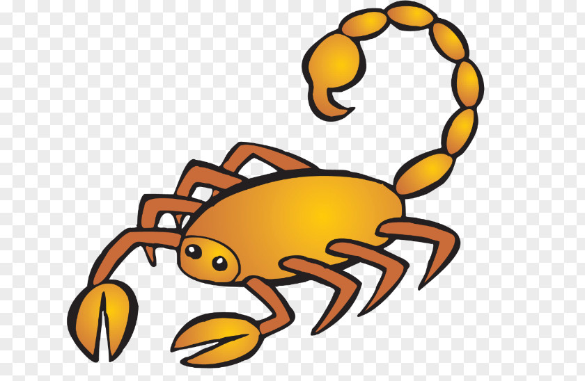 Scorpion Horoscope Zodiac Clip Art PNG