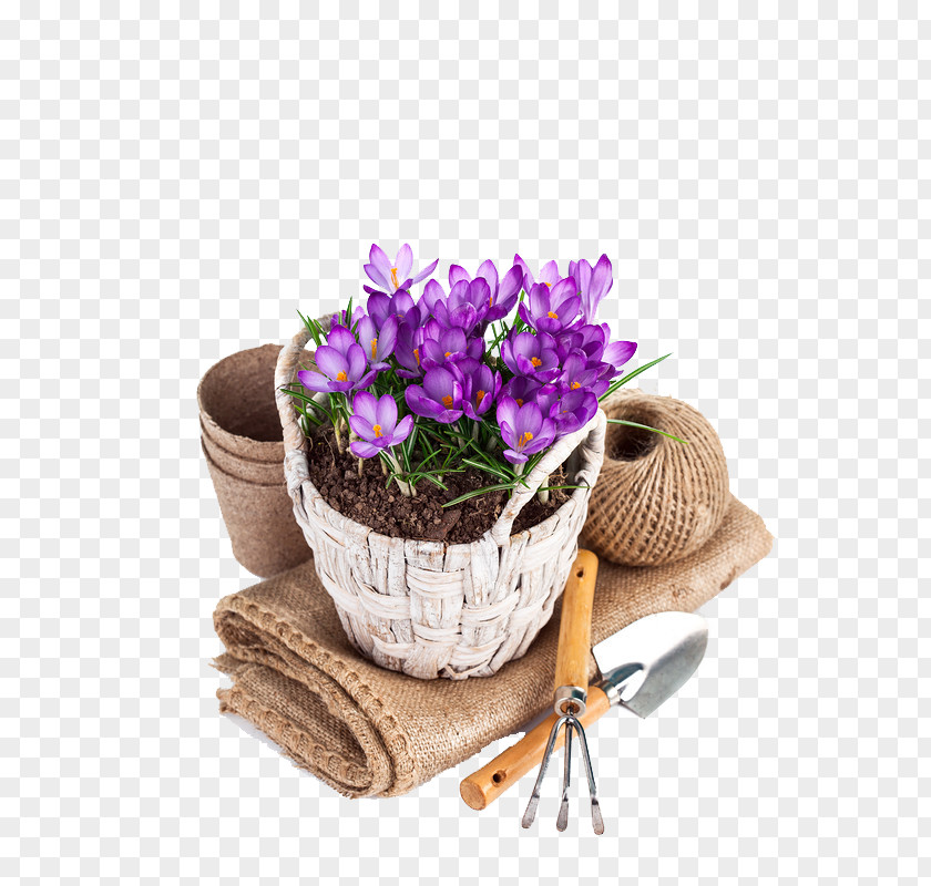 Flower Basket Flowerpot Garden Desktop Wallpaper Image Photography PNG