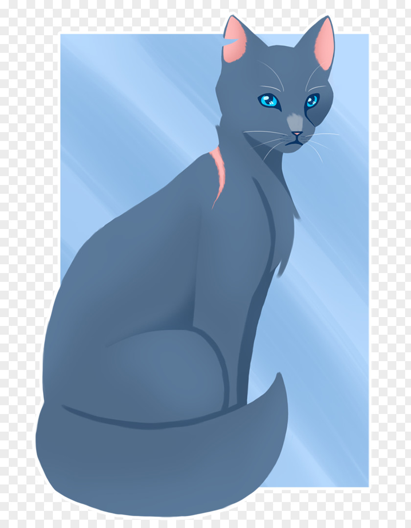 Kitten Cat Whiskers DeviantArt Drawing PNG