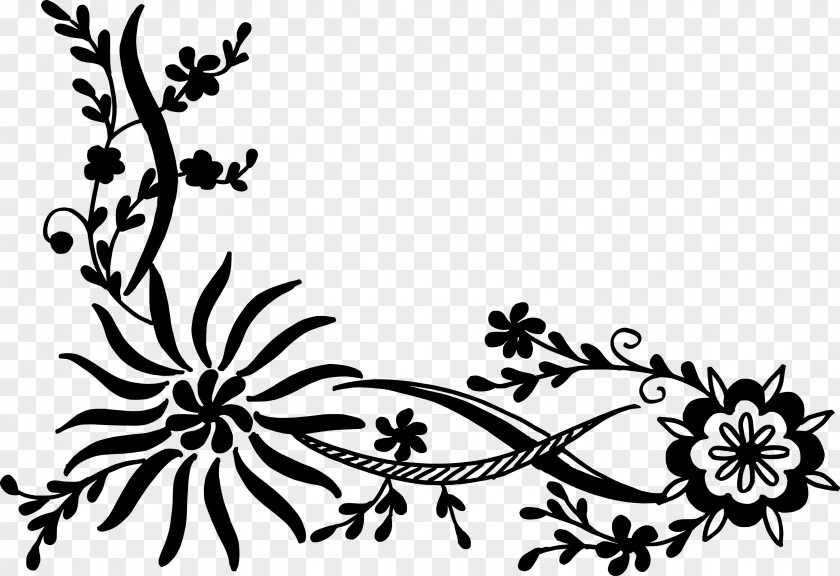 Lace Boarder Flower Floral Design Clip Art PNG