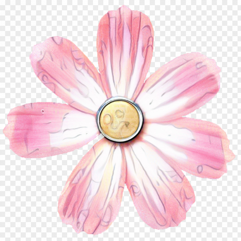 Petal Flower Rose Clip Art PNG