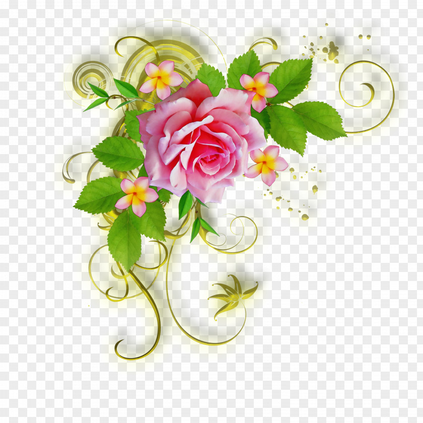 Rose Floral Design PNG