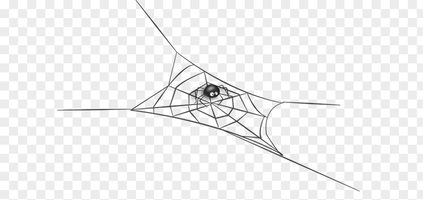 Spider Web Drawing PNG